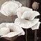 Ambiance II Poster Print by Jettie Roseboom - Item # VARPDXGA0116250
